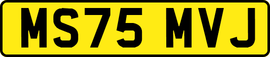MS75MVJ