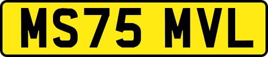 MS75MVL