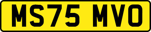 MS75MVO