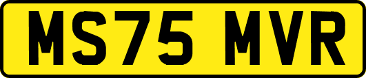 MS75MVR