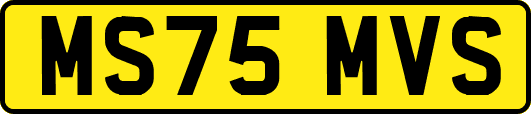 MS75MVS