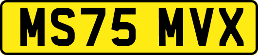 MS75MVX