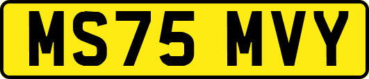 MS75MVY