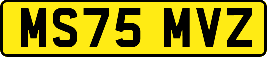 MS75MVZ