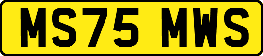 MS75MWS
