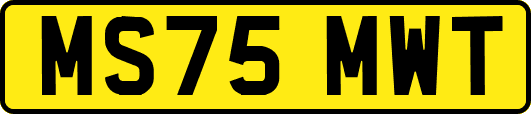 MS75MWT