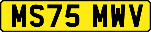 MS75MWV