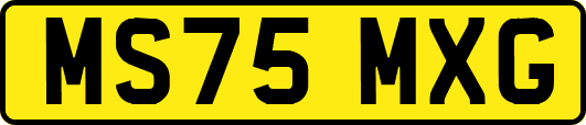MS75MXG