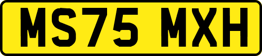 MS75MXH