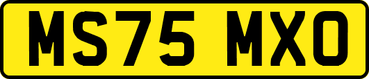 MS75MXO