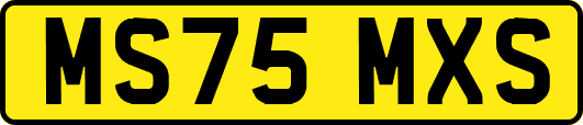 MS75MXS