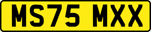 MS75MXX