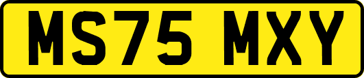 MS75MXY