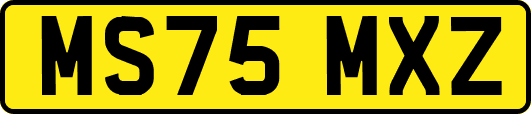 MS75MXZ