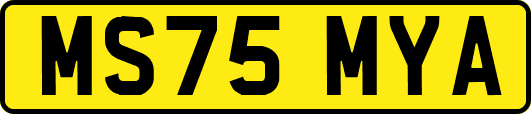 MS75MYA