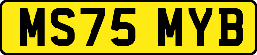 MS75MYB