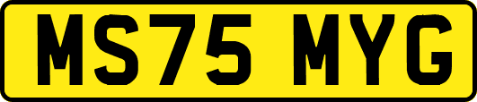 MS75MYG