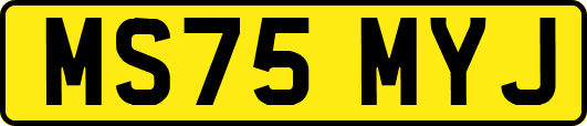 MS75MYJ