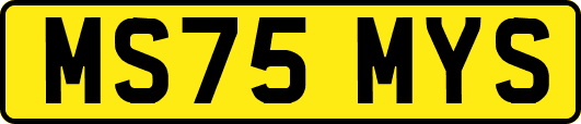 MS75MYS