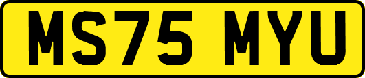 MS75MYU