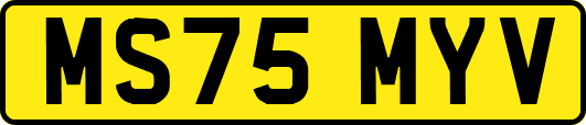 MS75MYV