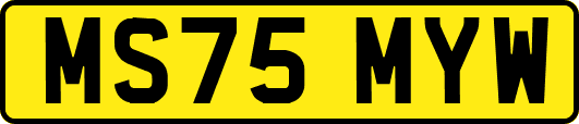 MS75MYW