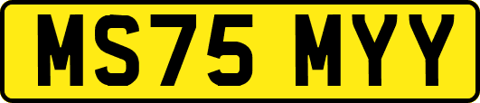 MS75MYY