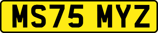 MS75MYZ