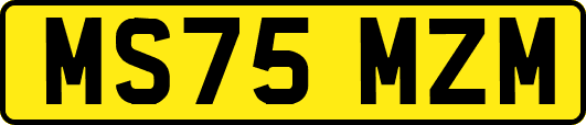 MS75MZM