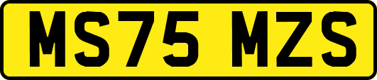 MS75MZS