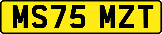 MS75MZT