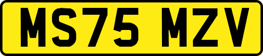 MS75MZV