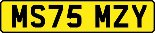 MS75MZY