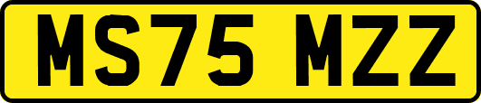 MS75MZZ