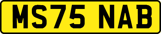 MS75NAB