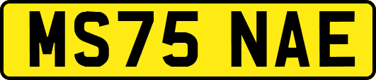 MS75NAE