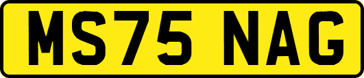 MS75NAG