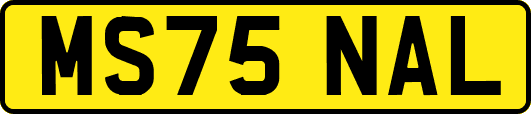 MS75NAL