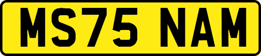 MS75NAM