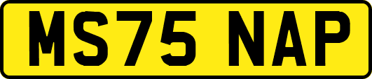 MS75NAP