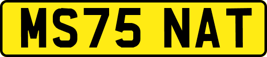 MS75NAT