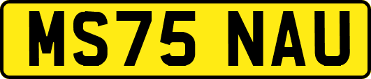 MS75NAU