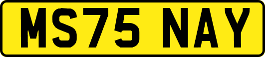 MS75NAY