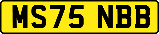 MS75NBB