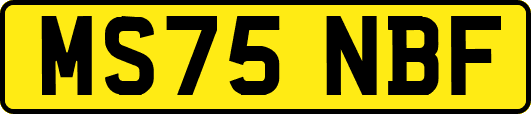 MS75NBF