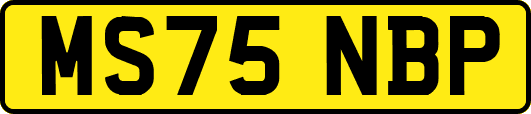 MS75NBP