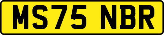 MS75NBR