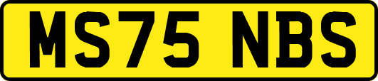 MS75NBS