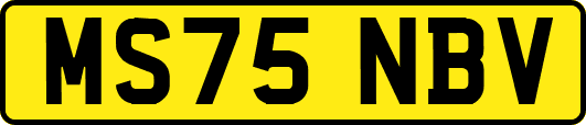 MS75NBV