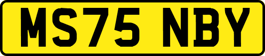 MS75NBY